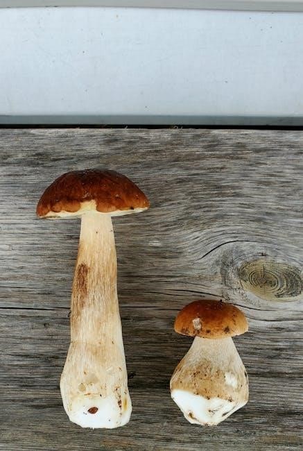 wood size chart pdf